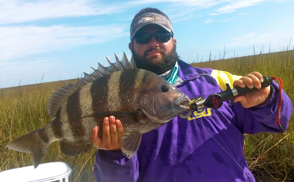 sheepshead 3 11-28-10.JPG