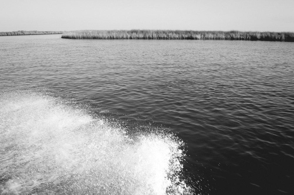 DSC_0038.jpg